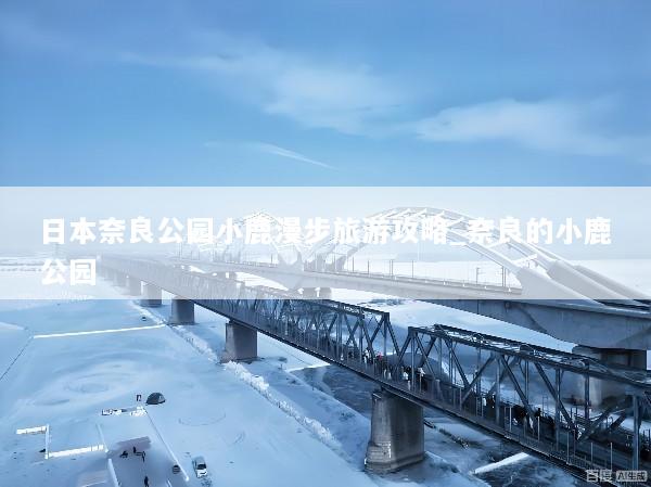 日本奈良公园小鹿漫步旅游攻略_奈良的小鹿公园