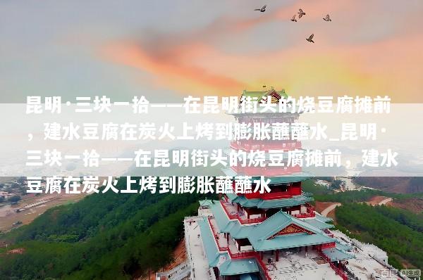 昆明·三块一拾——在昆明街头的烧豆腐摊前，建水豆腐在炭火上烤到膨胀蘸蘸水_昆明·三块一拾——在昆明街头的烧豆腐摊前，建水豆腐在炭火上烤到膨胀蘸蘸水