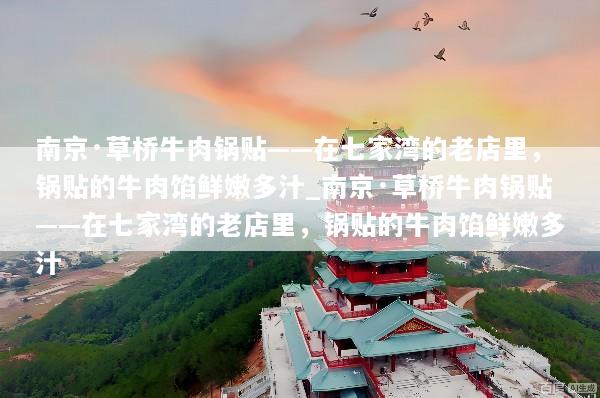 南京·草桥牛肉锅贴——在七家湾的老店里，锅贴的牛肉馅鲜嫩多汁_南京·草桥牛肉锅贴——在七家湾的老店里，锅贴的牛肉馅鲜嫩多汁