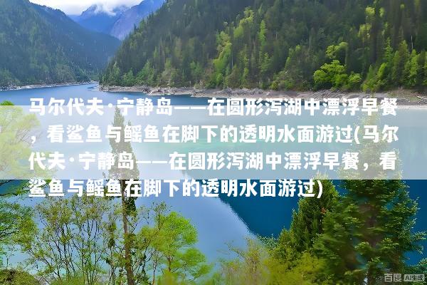 马尔代夫·宁静岛——在圆形泻湖中漂浮早餐，看鲨鱼与鳐鱼在脚下的透明水面游过(马尔代夫·宁静岛——在圆形泻湖中漂浮早餐，看鲨鱼与鳐鱼在脚下的透明水面游过)