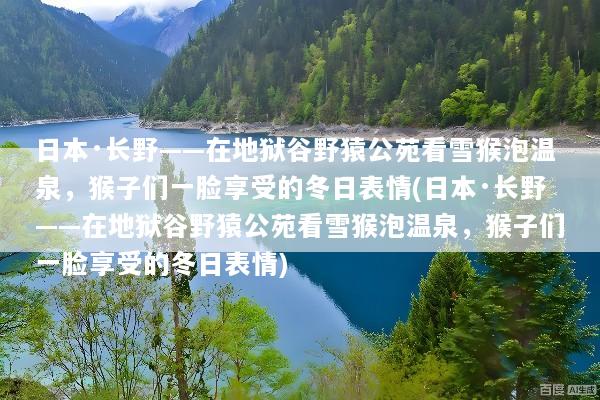 日本·长野——在地狱谷野猿公苑看雪猴泡温泉，猴子们一脸享受的冬日表情(日本·长野——在地狱谷野猿公苑看雪猴泡温泉，猴子们一脸享受的冬日表情)