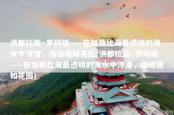 洪都拉斯·罗阿坦——在加勒比海最透明的海水中浮潜，珊瑚礁如花园(洪都拉斯·罗阿坦——在加勒比海最透明的海水中浮潜，珊瑚礁如花园)