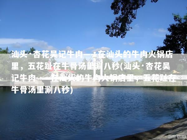 汕头·杏花吴记牛肉——在汕头的牛肉火锅店里，五花趾在牛骨汤里涮八秒(汕头·杏花吴记牛肉——在汕头的牛肉火锅店里，五花趾在牛骨汤里涮八秒)