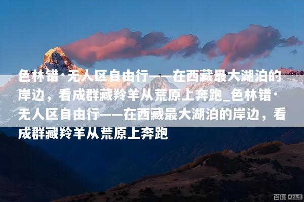 色林错·无人区自由行——在西藏最大湖泊的岸边，看成群藏羚羊从荒原上奔跑_色林错·无人区自由行——在西藏最大湖泊的岸边，看成群藏羚羊从荒原上奔跑