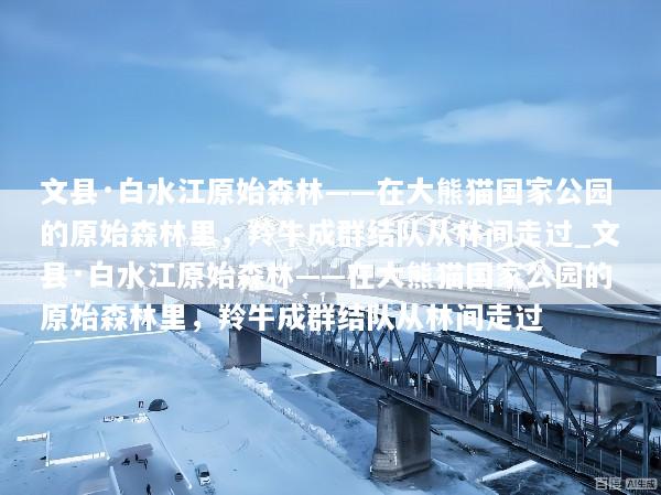 文县·白水江原始森林——在大熊猫国家公园的原始森林里，羚牛成群结队从林间走过_文县·白水江原始森林——在大熊猫国家公园的原始森林里，羚牛成群结队从林间走过
