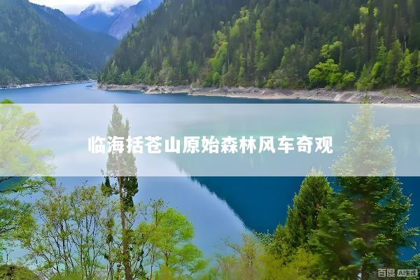 临海括苍山原始森林风车奇观
