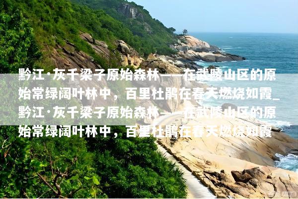 黔江·灰千梁子原始森林——在武陵山区的原始常绿阔叶林中，百里杜鹃在春天燃烧如霞_黔江·灰千梁子原始森林——在武陵山区的原始常绿阔叶林中，百里杜鹃在春天燃烧如霞