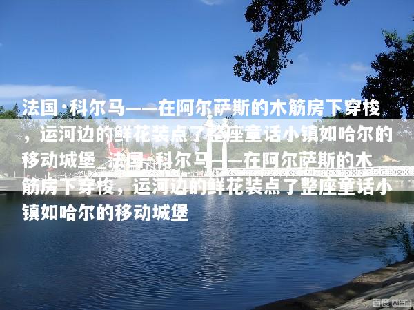 法国·科尔马——在阿尔萨斯的木筋房下穿梭，运河边的鲜花装点了整座童话小镇如哈尔的移动城堡_法国·科尔马——在阿尔萨斯的木筋房下穿梭，运河边的鲜花装点了整座童话小镇如哈尔的移动城堡