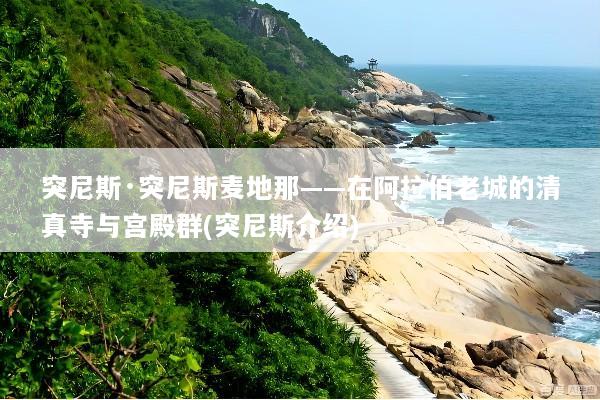 突尼斯·突尼斯麦地那——在阿拉伯老城的清真寺与宫殿群(突尼斯介绍)