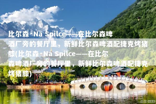 比尔森·Na Spilce——在比尔森啤酒厂旁的餐厅里，新鲜比尔森啤酒配捷克烤猪膝(比尔森·Na Spilce——在比尔森啤酒厂旁的餐厅里，新鲜比尔森啤酒配捷克烤猪膝)