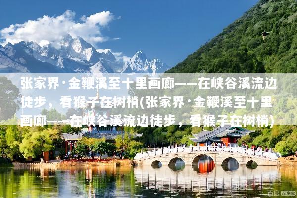 张家界·金鞭溪至十里画廊——在峡谷溪流边徒步，看猴子在树梢(张家界·金鞭溪至十里画廊——在峡谷溪流边徒步，看猴子在树梢)