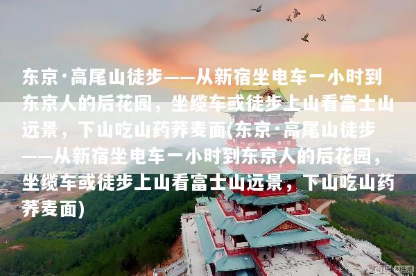 东京·高尾山徒步——从新宿坐电车一小时到东京人的后花园，坐缆车或徒步上山看富士山远景，下山吃山药荞麦面(东京·高尾山徒步——从新宿坐电车一小时到东京人的后花园，坐缆车或徒步上山看富士山远景，下山吃山药荞麦面)