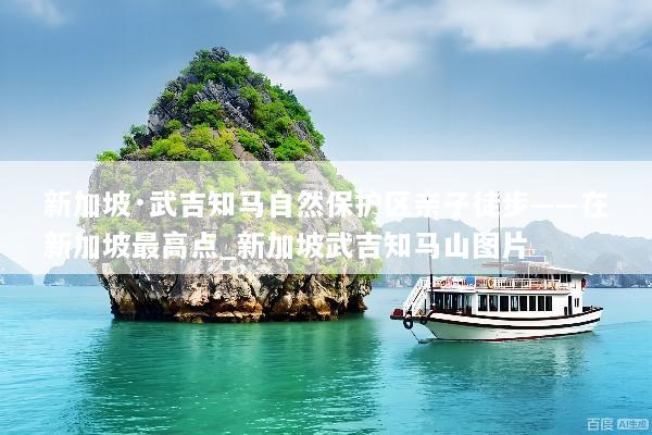 新加坡·武吉知马自然保护区亲子徒步——在新加坡最高点_新加坡武吉知马山图片