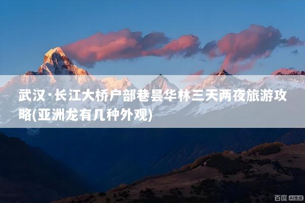 武汉·长江大桥户部巷昙华林三天两夜旅游攻略(亚洲龙有几种外观)